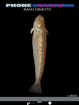 Simulator Screen Shot - iPad Pro (12.9-inch) (2nd generation) - 2018-11-09 at 10.43.06